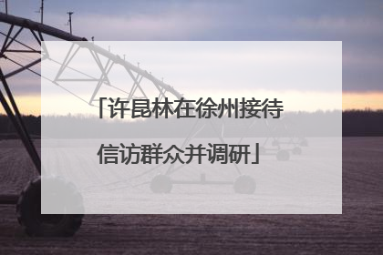 许昆林在徐州接待信访群众并调研
